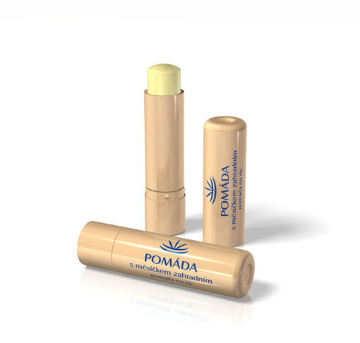 Obrázek z Regina pomáda s měsíčkem zahradním 4,5 g 