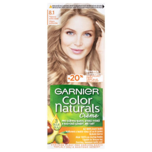 Obrázek z Garnier Color Naturals Platinová světlá blond 8.1 