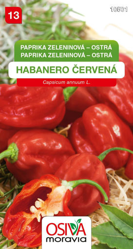 Obrázek z Paprika zeleninová pálivá Habanero červená 15 sem. 