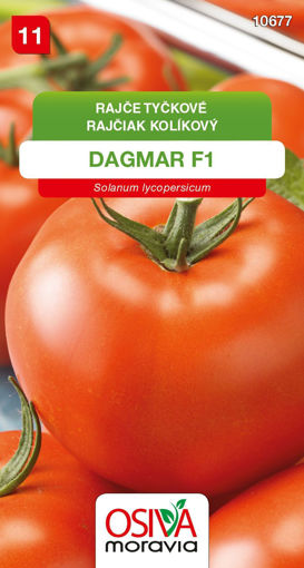 Obrázek z Rajče tyčkové Dagmar F1 0,15 g 