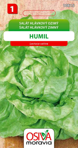 Obrázek z Salát hlávkový ozimý Humil Seva Seed 0,3 g 