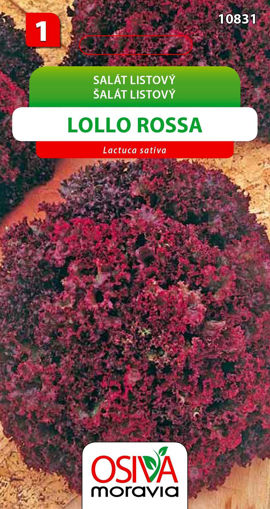 Obrázek z Salát listový Lollo Rossa 0,5 g 