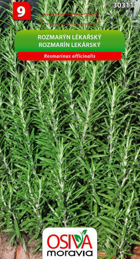 Obrázek z Rozmarýn lékařský 0,1 g 