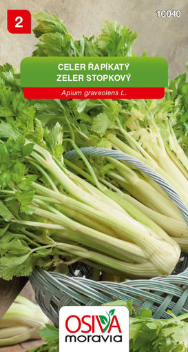 Obrázek z Celer řapíkatý Helios 0,2 g 