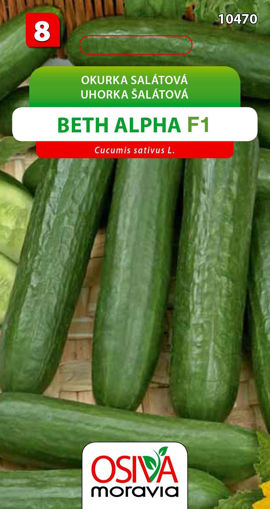 Obrázek z Okurka salátová Beth Alpha Seva Moravia 1 g 