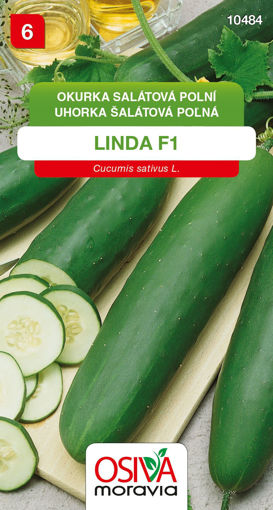 Obrázek z Okurka salátová polní Linda F1 1 g 