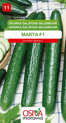 Obrázek z Okurka salátová skleníková Marta F1 10 s 