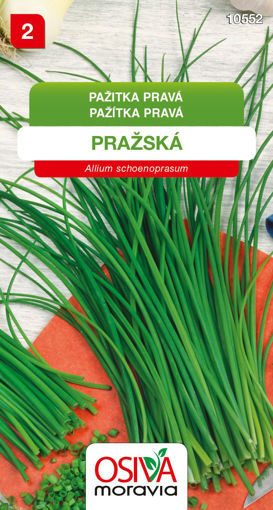 Obrázek z Pažitka pravá Pražská 1,5 g 