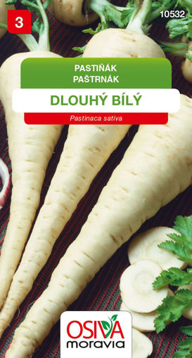 Obrázek z Pastiňák Dlouhý bílý Pastiňák 3 g 