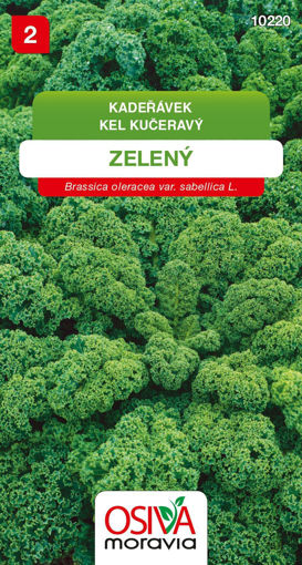 Obrázek z Kadeřávek zelený 0,8 g 