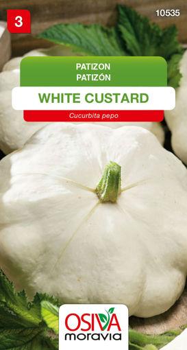 Obrázek z Patizon White Custard 1,5 g 