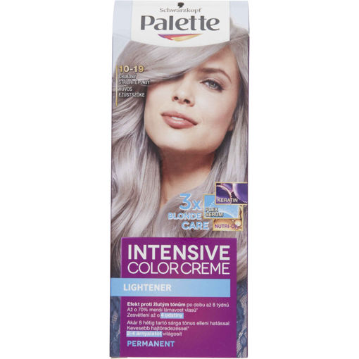 Obrázek z Palette Intensive Color Creme Chladný Stříbřitě Plavý 10-19 