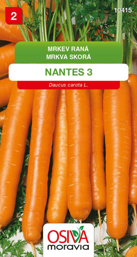 Obrázek z Mrkev raná Nantes 3 Osiva moravia 3 g 