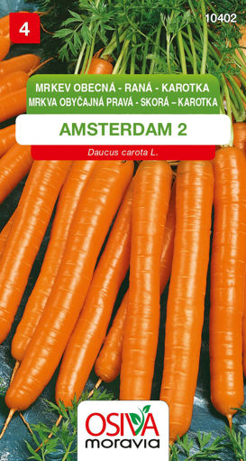 Obrázek z Mrkev raná karotka Amsterdam 2,  3 g 