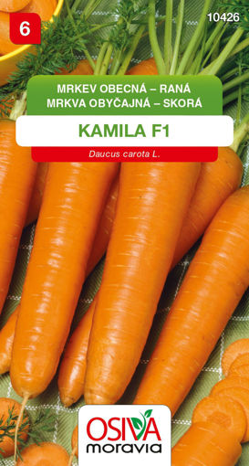 Obrázek z Mrkev raná Kamila F1,  2 g 