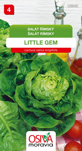 Obrázek z Salát římský Little Gem 0,6g 