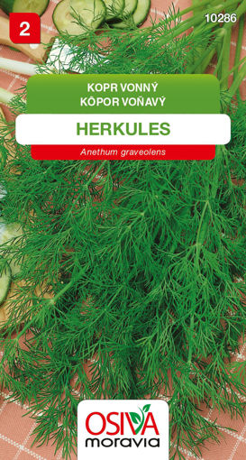 Obrázek z Kopr vonný Herkules 3g 