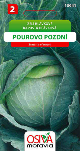Obrázek z Zelí Pourovo pozdní 0,8 g 