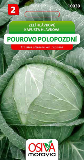 Obrázek z Zelí Pourovo polopozdní 0,8 g 