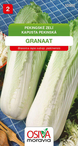 Obrázek z Pekingské zelí Granaat 0,6 g 