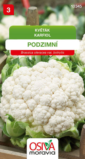 Obrázek z Květák podzimní 0,4 g 