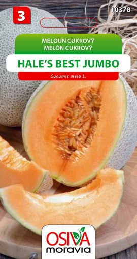 Obrázek z Meloun cukrový Hales Best Jumbo 0,5 g 