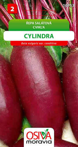 Obrázek z Řepa salátová Cylindra 4 g 