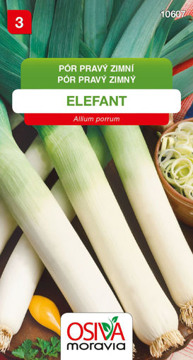 Obrázek z Pór zimní Elefant 1,5 g 