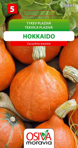 Obrázek z Tykev plazivá Hokkaido Seva Moravia 10 s 