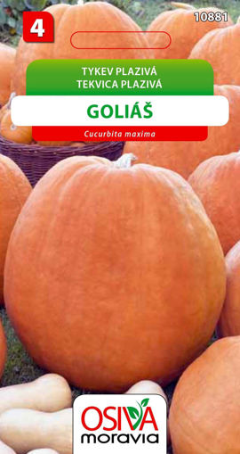 Obrázek z Tykev plazivá Goliáš 8 s 