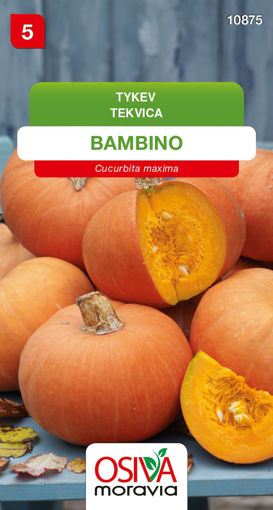 Obrázek z Tykev Bambino 10 s 