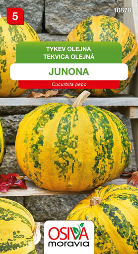 Obrázek z Tykev olejná Junona 10 s 