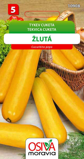 Obrázek z Tykev cuketa žlutá 10 s 