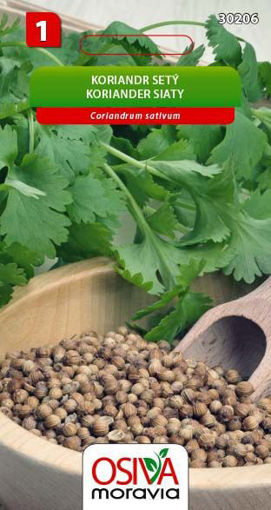Obrázek z Koriandr setý Osiva moravia 3 g 