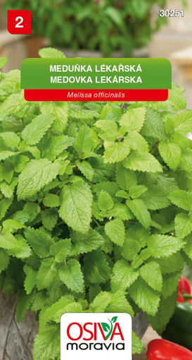 Obrázek z Meduňka lékařská 0,3 g 