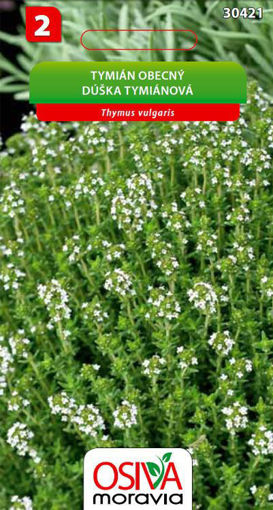 Obrázek z Tymián 0,1 g 