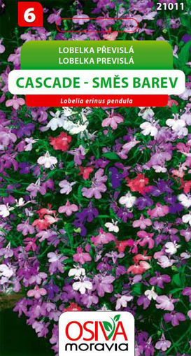 Obrázek z Lobelka převislá Cascade směs barev Osiva moravia 0,2 g 