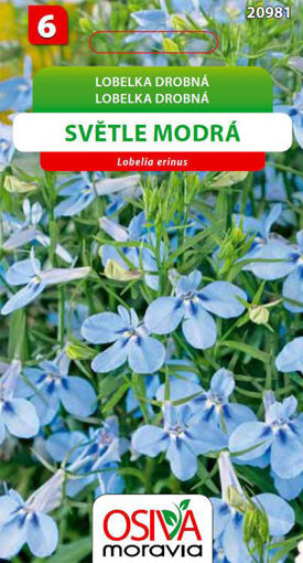 Obrázek z Lobelka drobná světle modrá 0,2 g 