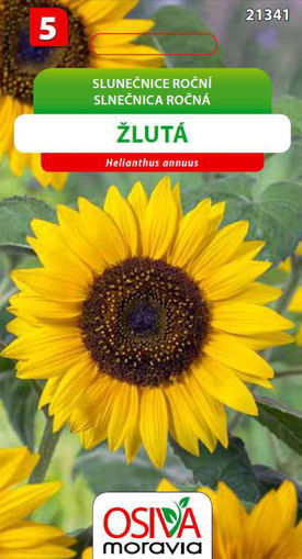 Obrázek z Slunečnice roční Seva Seed 1 g 