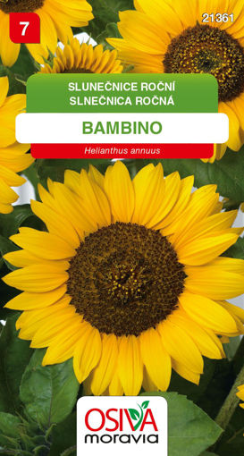 Obrázek z Slunečnice Bambino 40 cm 1 g 