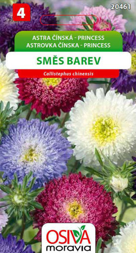 Obrázek z Astra čínská Princess směs 0,5 g 