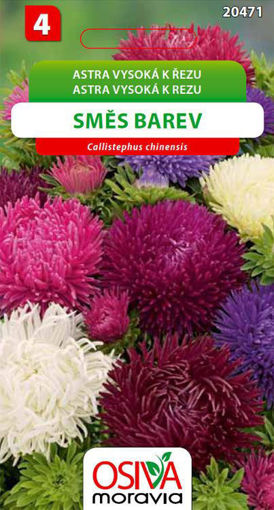 Obrázek z Astra čínská vysoké k řezu směs 0,5 g 