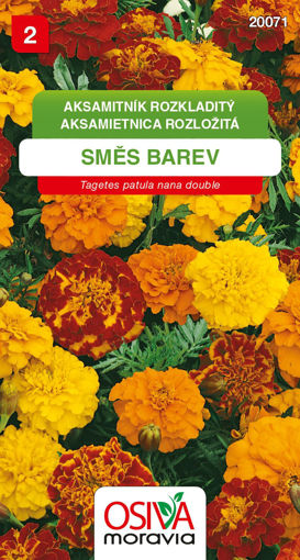 Obrázek z Aksamitník rozkladitý nízké směs barev 0,3 g 