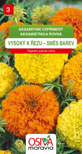 Obrázek z Aksamitník vzpřímený vysoký k řezu směs barev 0,8 g 