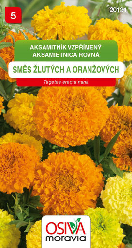 Obrázek z Aksamitník vzpřímený nízký směs žlutých a oranžových 0,6 g 