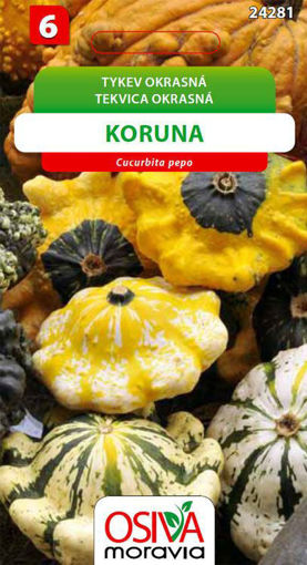 Obrázek z Tykev okrasná Koruna 10 s 