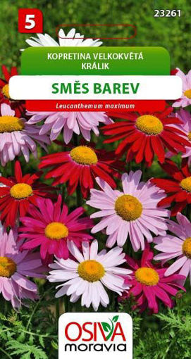 Obrázek z Kopretina velkokvětá směs barev  0,2 g 