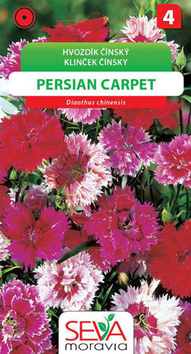 Obrázek z Hvozdík čínský Persian Carpet 0,3 g 