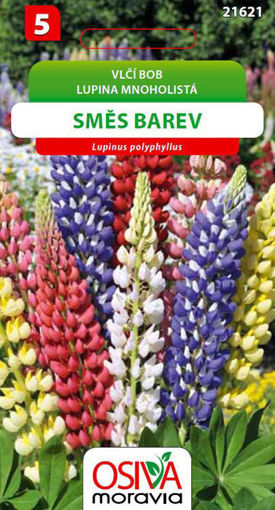 Obrázek z Vlčí bob Rusellův - vysoký k řezu směs barev 1 g 