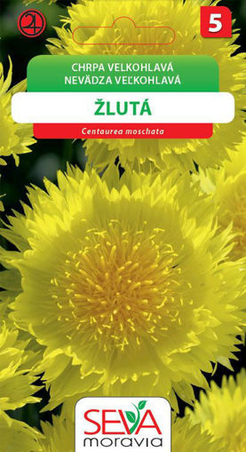 Obrázek z Chrpa velkohlavá žlutá 0,6 g 
